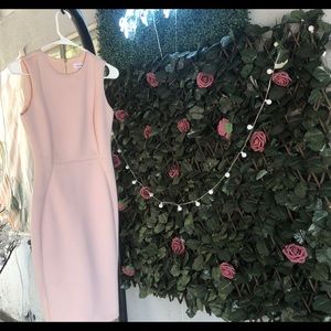 Calvin Klein blush pink business dress size 2.